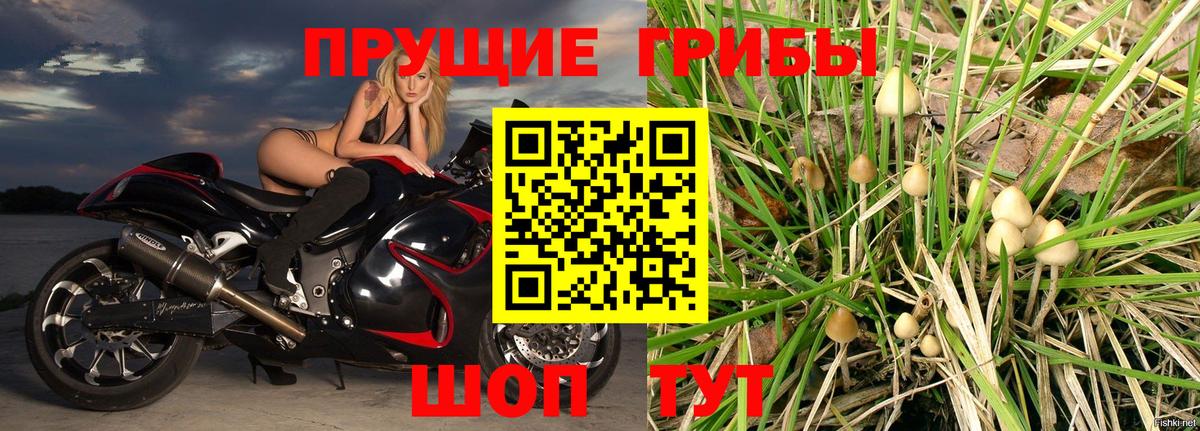 Алейск  Галлюциногенные грибы ЛСД  Вход с VPN  Галлюциногенные грибы GOLDEN TEACHER 